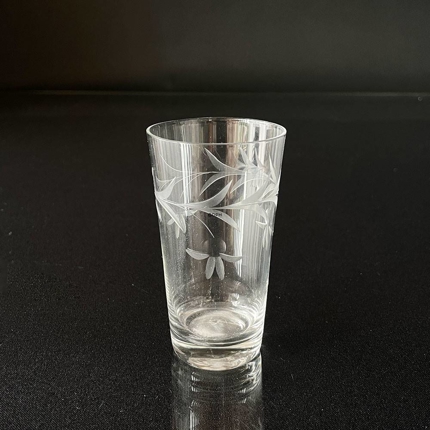 Wasserglas mit Verzierungen von Blumen und Zweigen