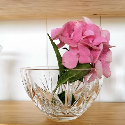 Krystal glas skål med slibninger