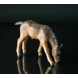 Fohlen (Pferd) stehend, Keramik