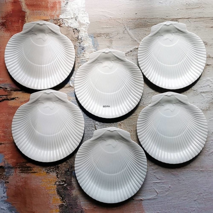 Wedgwood teller, 6 Stück