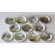 Royal Worchester Landschaft Monatsteller Serie - 11 Stück - Franklin Porcelain