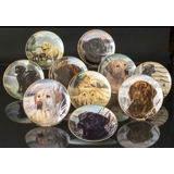 Hundeplatter, serie af 10 platter med Labrador hunde, brun, sort og gylden
