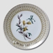 1979 Mother's Day plate, Egemose, Catkin