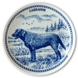 Hansa dog plate no. 3, Labrador