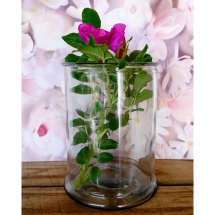 Zylindervase Mille H24cm klar