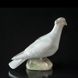 Weiße Taube, Royal Copenhagen Vogelfigur Nr. 1008, Sehr selten (1894-1922)
