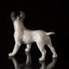 Boston Terrier standing at attention, Royal Copenhagen figurine No. 1457