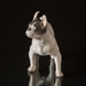 Boston Terrier standing at attention, Royal Copenhagen figurine No. 1457