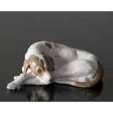 Pointer lying down looking up longingly, Royal Copenhagen dog figurine