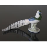 Pheasant in bright colours with long tail, Royal Copenhagen bird figurine No. 1881