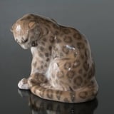 Panther looking down at its tail, Royal Copenhagen figurine