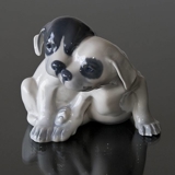 Smooth-haired terrier, Royal Copenhagen dog figurine