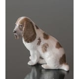 Cocker Spaniel, Royal Copenhagen hunde figur nr. 3116