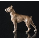 Boxer standing at attention, Royal Copenhagen dog figurine