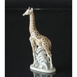 Giraffe, Royal Copenhagen figurine