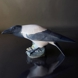 Krähe, Royal Copenhagen Vogelfigur Nr. 365