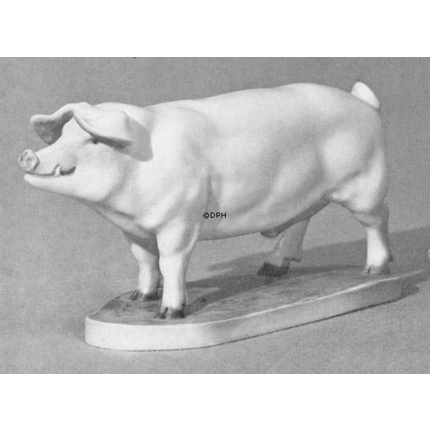 Boar, Royal Copenhagen figurine no. 4558