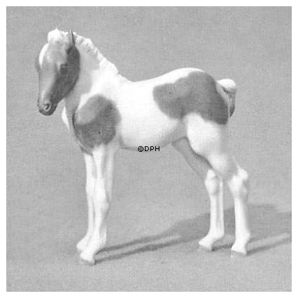 Fohlen, Royal Copenhagen Pferd Figur Nr. 4653-2935