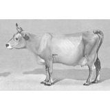 Jersey Cow, standing, Royal Copenhagen figurine