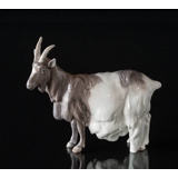Goat standing calmly, Royal Copenhagen figurine