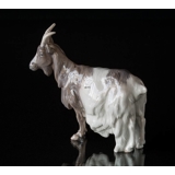 Goat standing calmly, Royal Copenhagen figurine