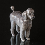 Poodle standing curiously, Royal Copenhagen dog figurine