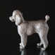 Poodle standing curiously, Royal Copenhagen dog figurine no. 4757