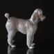 Poodle standing curiously, Royal Copenhagen dog figurine no. 4757