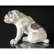 Englische Bulldogge, 23x38cm, Royal Copenhagen Figur Nr. 801 (Signiert Knud Kyhn 1907)