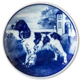 Ravn hundeplatte nr. 4, Welsh Springer Spaniel
