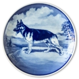 Ravn dog plate no. 16, German Shepherd
