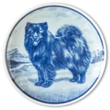Ravn dog plate no. 40, Finnish Lapphund
