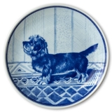 Ravn dog plate no. 97, Dandie Dinmont Terrier