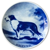 Ravn Utility dog plate no. 1, Drever