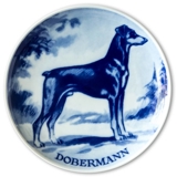 Ravn Utility dog plate no. 15, Doberman Pinscher