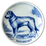 Ravn Utility dog plate no. 17, Hovawart