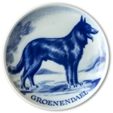Ravn utility dog plate no. 21, Groenendael dog (Belgian Sheepdog)