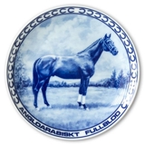 Ravn horse plate no. 5, Arabian Thoroughbred
