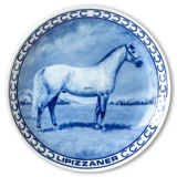 Ravn horse plate no. 6, Lipizzaner