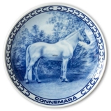 Ravn horse plate no. 13, Connemara pony