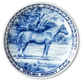 Ravn horse plate no. 14, Welsh Pony