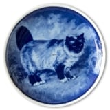 Ravn cat plate no. 1, Birma cat