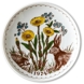 1974 Ravn Mother's day plate
